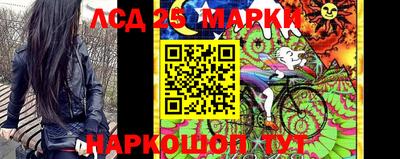 PSILOCYBIN Гатчина