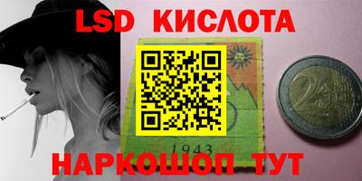 PSILOCYBIN Гатчина