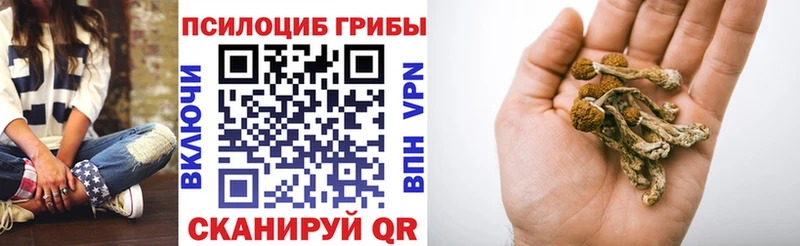 как найти Десногорск blacksprut ССЫЛКА сайты даркнета телеграм Галлюциногенные грибы мицелий