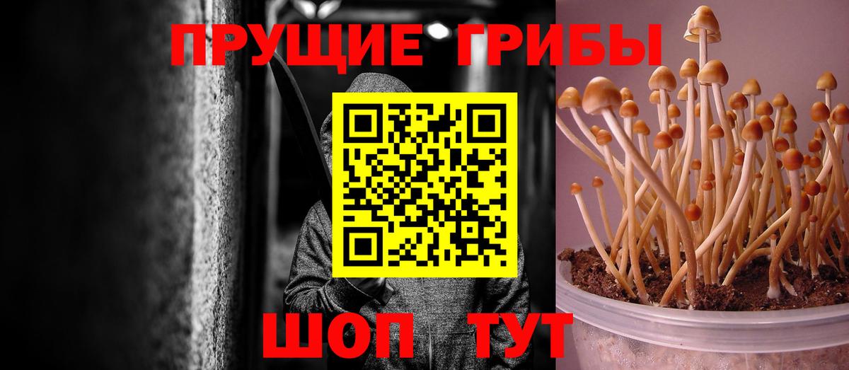 Псилоцибиновые грибы прущие грибы Десногорск